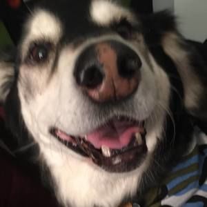 Meet your Posher, Kellam